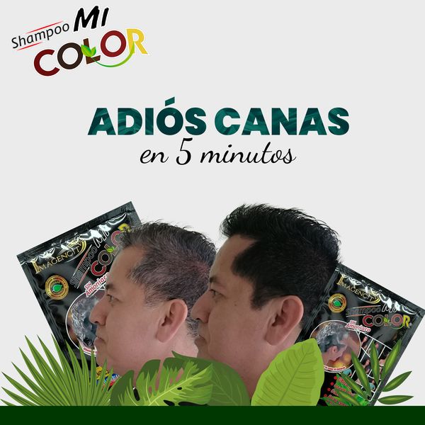SHAMPO CUBRE CANAS - De Shopping Store